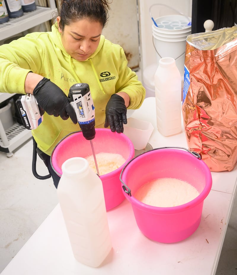 Améliorer la qualité du colostrum maternel grâce à un enrichissement