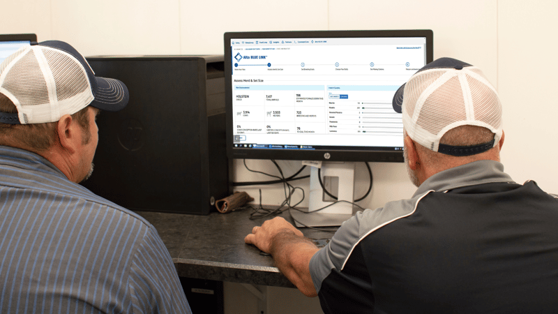 Comment démarrer avec Alta BLUE LINK