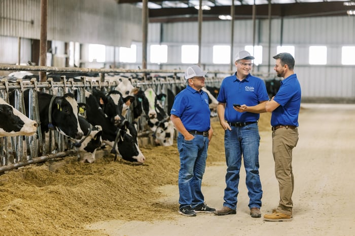 Alta Reps in Freestall