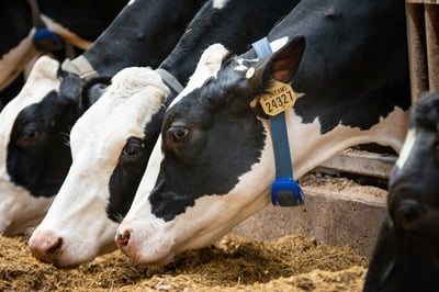 Système de surveillance