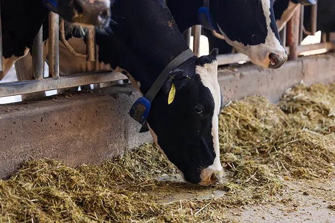 PW071625-418v2 nouveau