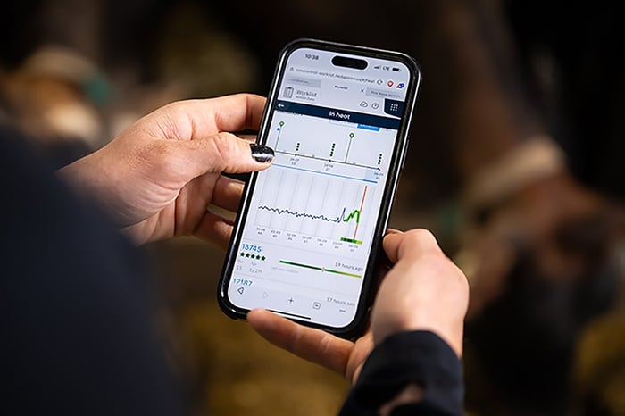 Animal Repro Insights