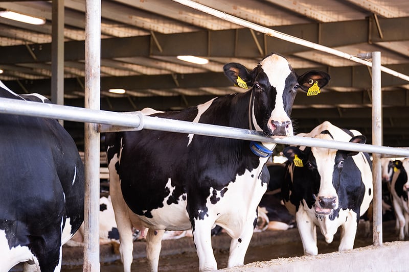 August 2026 Genetic Highlights at Alta