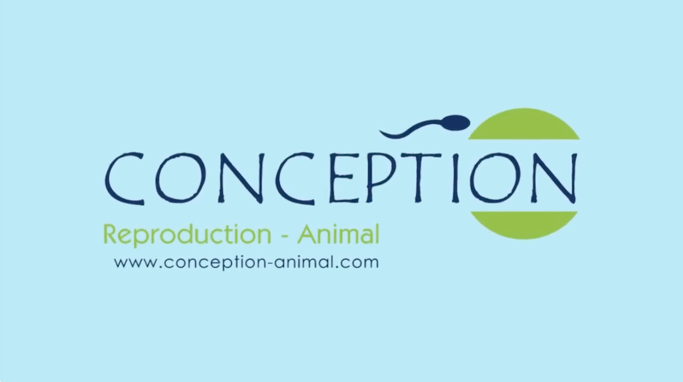 ConceptionVideo