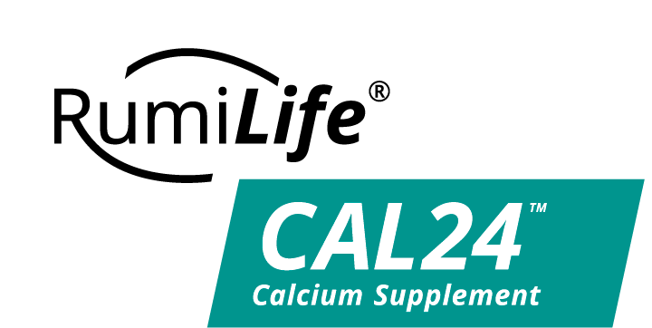 Y-14661-17-RumiLife CAL24-CAN_rgb