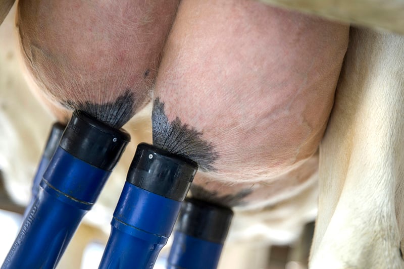 Qu’est-ce que le MUI ?