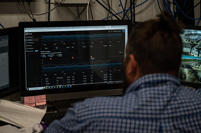 Herd Insights