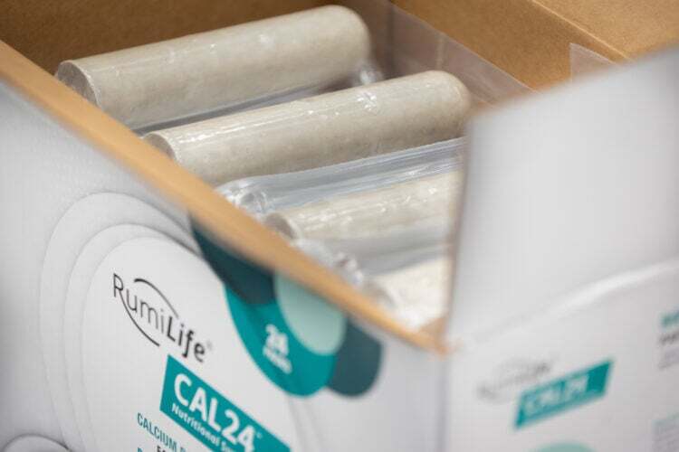 Vérités et mythes concernant les bolus de calcium RumiLife CAL24 pour vos vaches fraîches