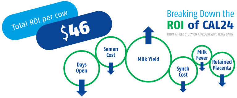 Infographic: factors contributing to ROI of CAL24
