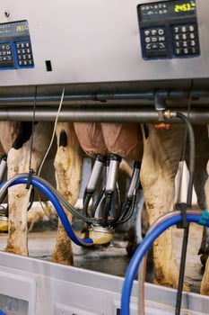 Get Prepared for CDCB’s New Milking Speed Trait