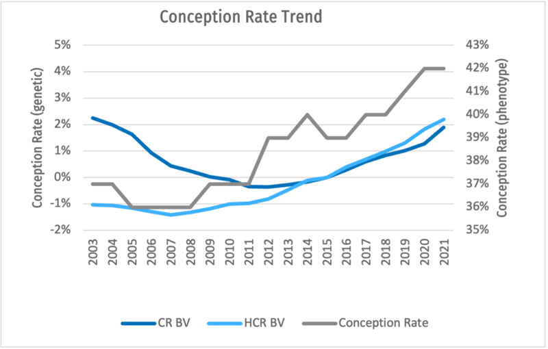 graph showing CR trend