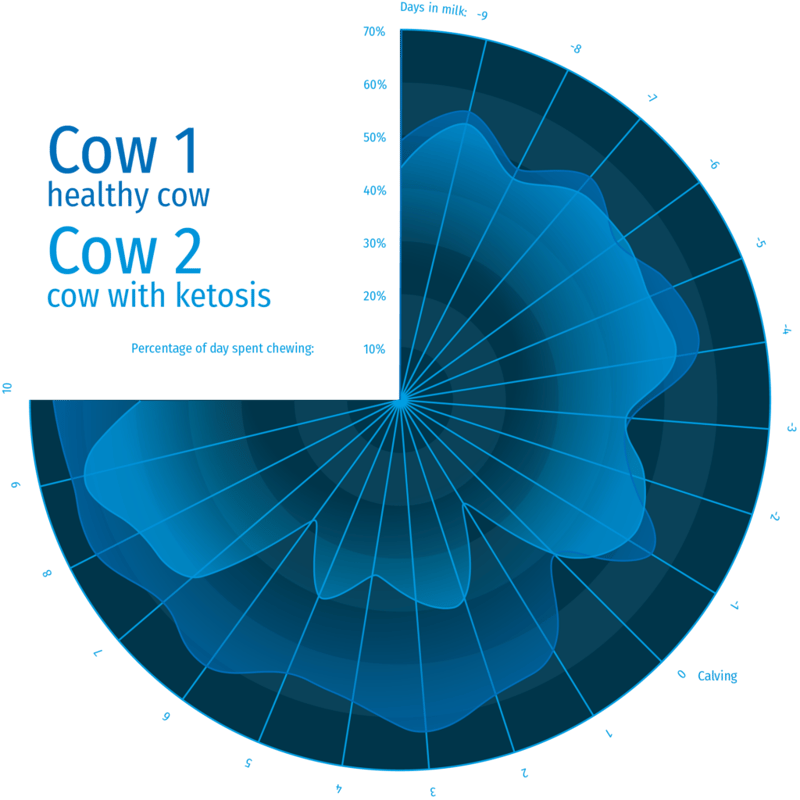 Chart showing eating time of two cows