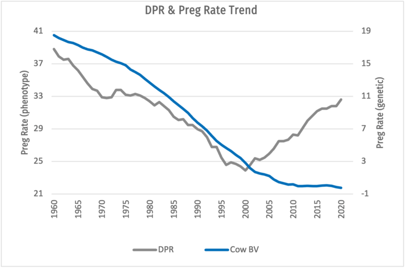 graph showing trend in DPR-PR