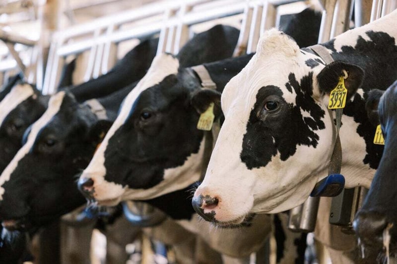 Understanding the 2025 Genetic Base Change