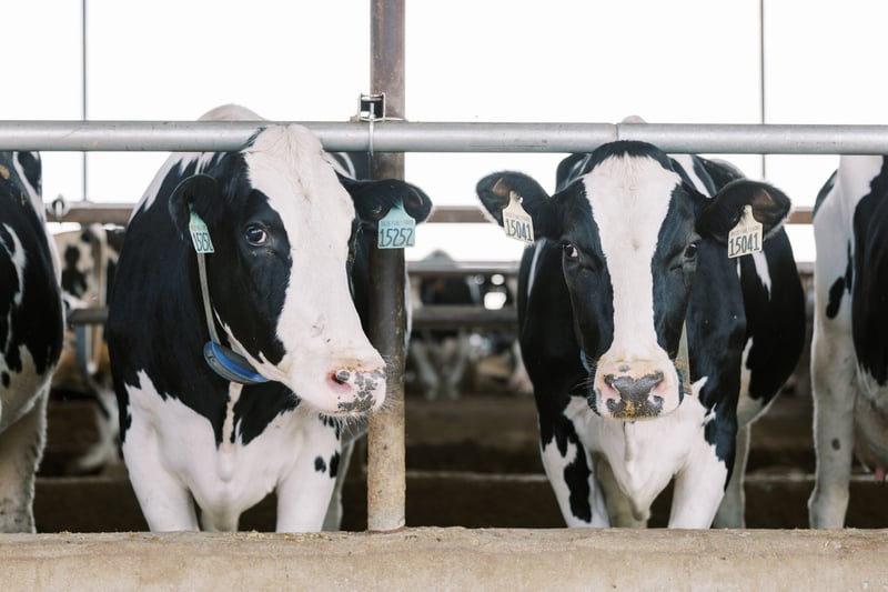 Le nouvel indice NM$ 2025