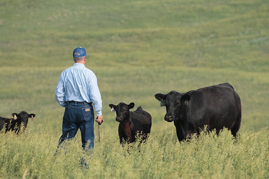 Faire de la passion sa profession