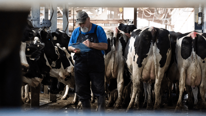 How to make your next preg check your best one yet