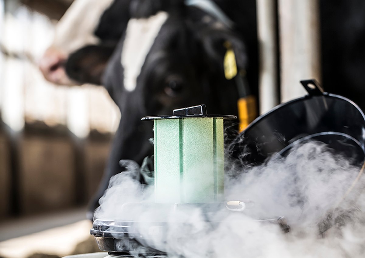 Nitrogen Fog with Semen Tank