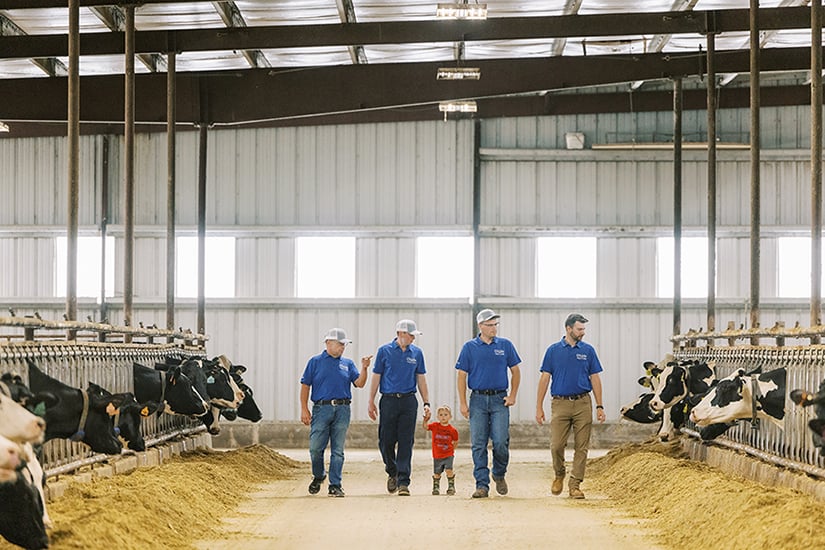 Walking Freestall Alley