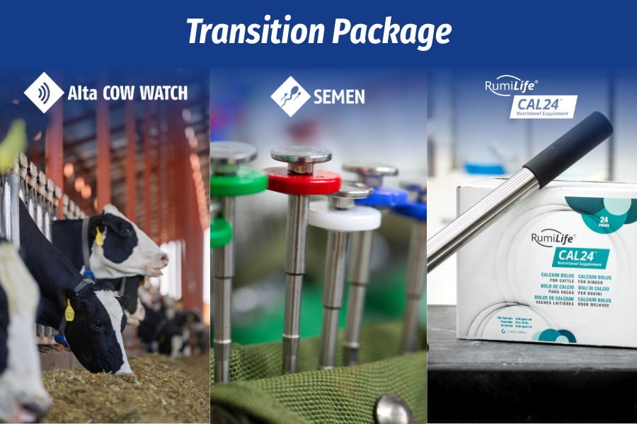 paquet de transition